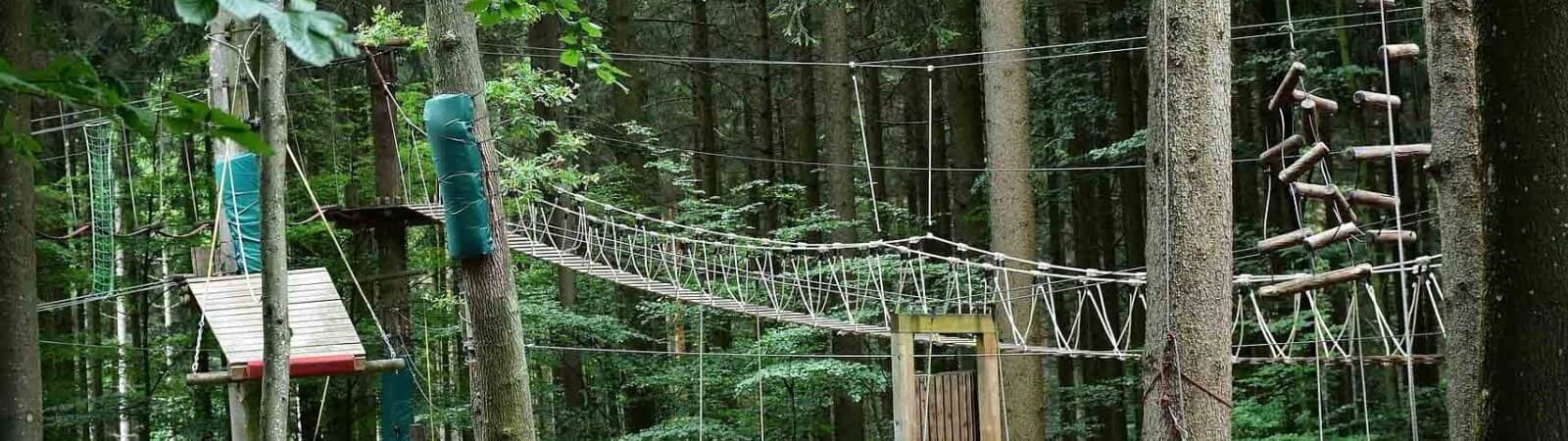 image bannière Que faire ?