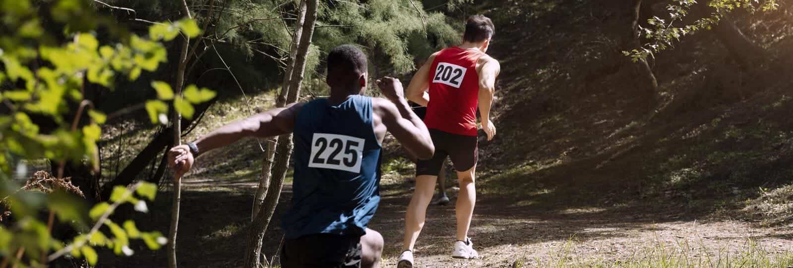 image bannière Images