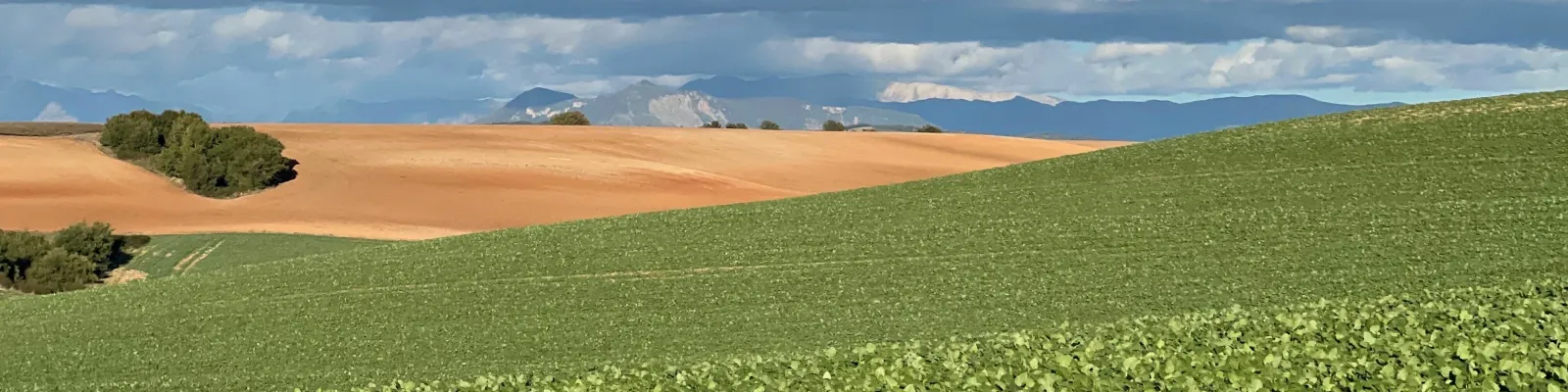 image bannière La tournée des plateaux