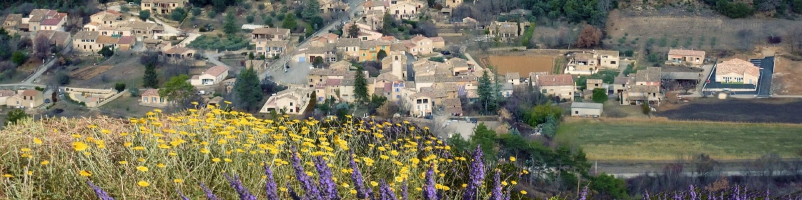 image bannière Les courses enfants